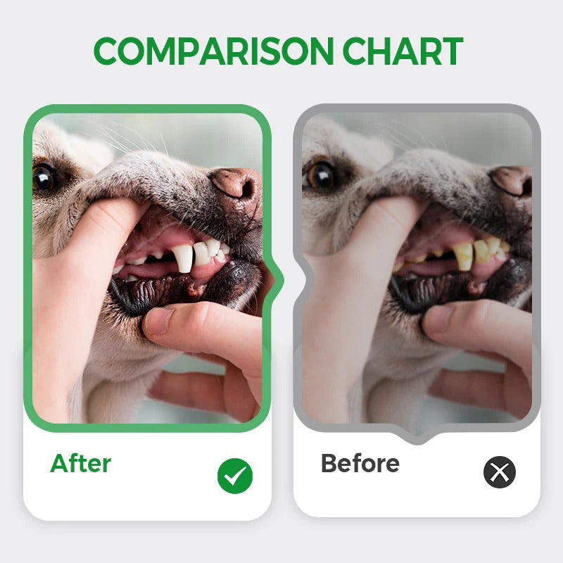 🐕‍🦺🐈Szczoteczka do czyszczenia i wybielania zębów zwierząt domowych