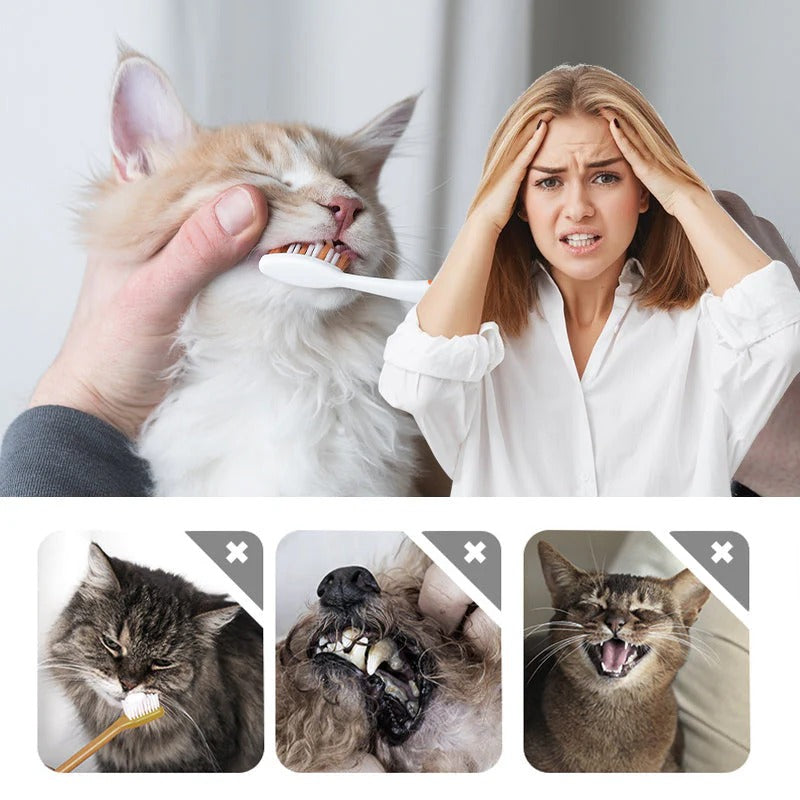 🐕‍🦺🐈Szczoteczka do czyszczenia i wybielania zębów zwierząt domowych