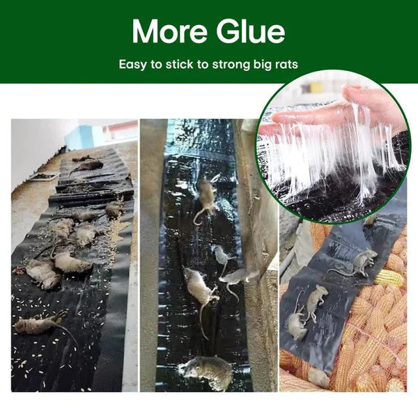 🔥Kup 1 gratis 1🔥Duża lepka pułapka na myszy🐁
