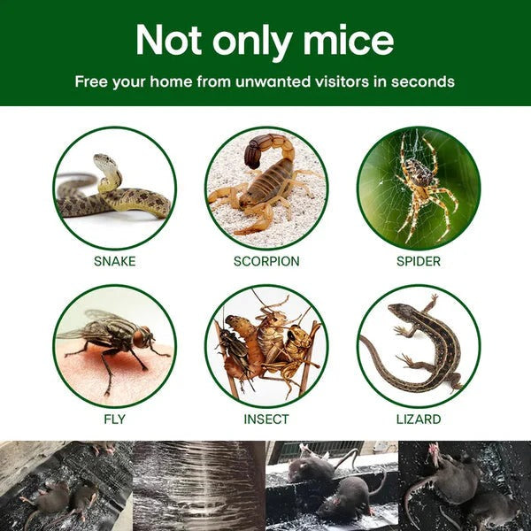 🔥Kup 1 gratis 1🔥Duża lepka pułapka na myszy🐁